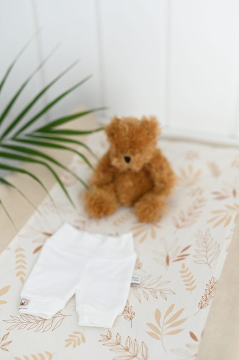 DSC_6513.jpg